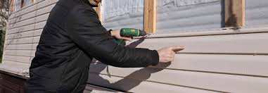 Best Storm Damage Siding Repair  in Lisle, IL